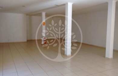 Imagem 5: Salão Comercial - Ribeirão Preto - Jardim São Luiz