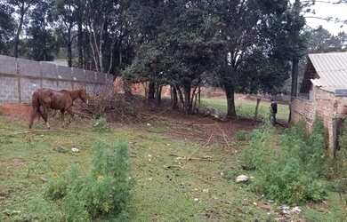 Imagem: O terreno possui 308m² de Área e está localizado em Campo