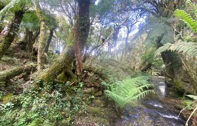 Imagem 5: Urubici - Terreno. 20.000m² de Área