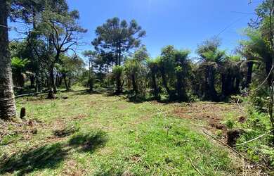 Imagem: O terreno possui 20.000m² de Área e está localizado em Urubici