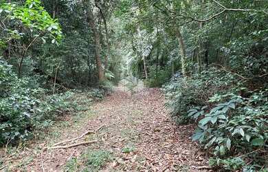 Imagem 12: Chácara com casa e ótimo aproveitamento