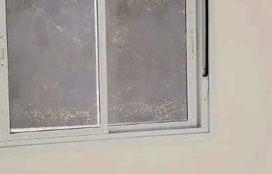 Imagem 8: Imóvel para aluguel possui 65 metros quadrados com 3 quartos em Vila Rosália - Guarulhos