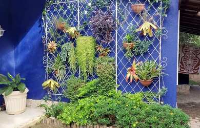 Imagem 8: Cond. Pouso Das Maitacas