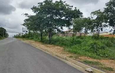 Imagem 3: VENDO LOTE DE 2.000 m² - BAIRRO JARDIM NIEMEYER
