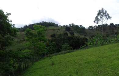 Imagem 10: Fazenda vendo / troco. 9.000m² de Área Privada