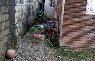 Imagem 3: TERRENO COM 2 CASAS