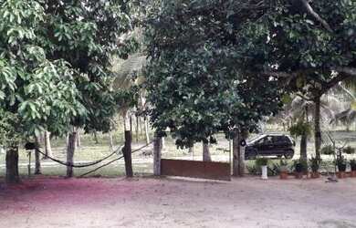 Imagem: A fazenda possui 778.433m² de Área e está localizado em