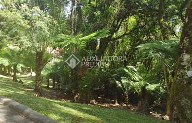 Imagem: O terreno possui 1.093m² de Área e está localizado em Gramado