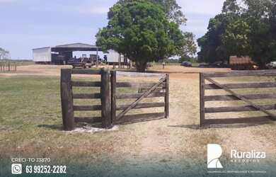 Imagem 3: Fazenda em exploração agrícola no vale do Araguaia TO