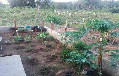 Imagem 10: Chácara com 3 dormitórios à venda, 217800 m² por R$ 1.050.000,00 -...