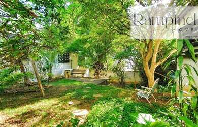 Imagem 12: OTIMA CASA COM UM MARAVILHOSO QUINTAL NA CITY VL. ROMANA