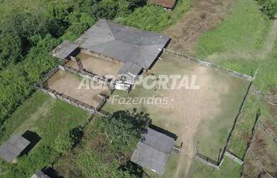 Imagem 5: Fazenda no Pará- Goianésia do Pará - 895 ha 185 alq