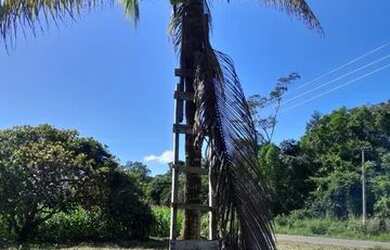 Imagem 4: Terreno Belterra. 