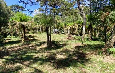 Imagem 10: Urubici - Terreno. 20.000m² de Área