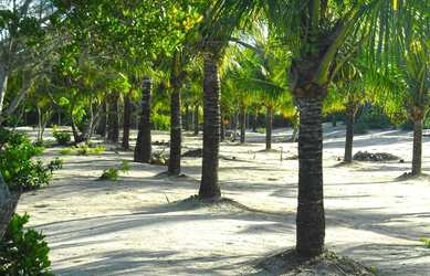 Imagem 15: Área de Praia para Venda em Santa Cruz Cabrália, Santo andré