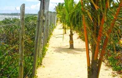 Imagem 13: Área de Praia para Venda em Santa Cruz Cabrália, Santo andré