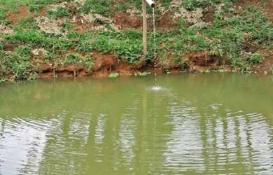 Imagem: A chácara possui 5.000m² de Área e está localizado em Jundiaí