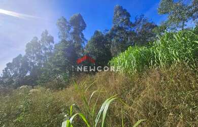 Imagem: Chácara em Santa Lúcia do Piaí (caxias do Sul) - Centro