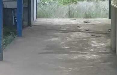 Imagem 2: Casa Grande com terreno e árvores frutíferas