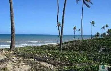 Imagem 7: TERRENO EM CONDE- BA. 77017m² de Área