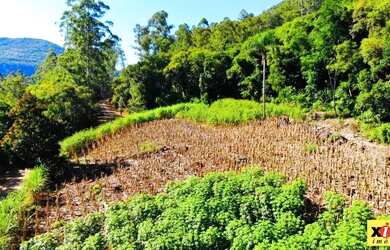 Imagem 14: Sítio / Chácara para Venda em Nova Petrópolis, Arroio Paixão