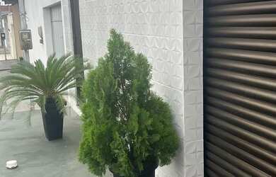 Imagem: A casa possui 3 Dormitórios, 2 Banheiros e está localizado