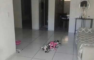 Imagem: A casa possui 2 Dormitórios, 1 Banheiro e 70m² de Área e