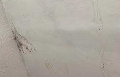 Imagem 5: Loja para locação - Jardim Santa Adelia, Sao Paulo