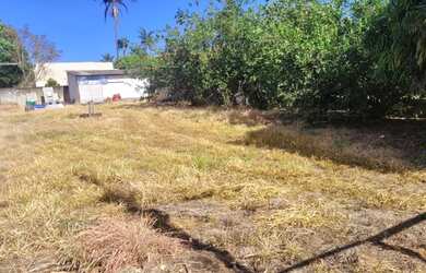 Imagem: O terreno e está localizado em Ponte Alta Norte, Brasília