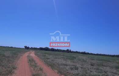 Imagem 9: Fazenda Produtiva em Porangatu-GO / 92 Alq. 445 Há