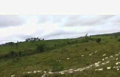 Imagem 9: Fazenda em Altamira - Pará - 470 Alqueires - Acesso de Asfalto