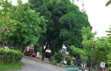 Imagem 2: Excelente apartamento no condomínio Casa Solar-Tejipió