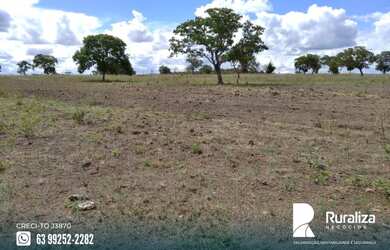 Imagem 10: Fazenda em exploração agrícola no vale do Araguaia TO