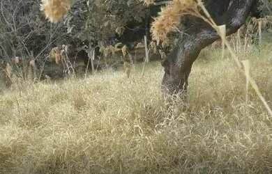 Imagem 2: Terreno Terreno / lote com venda por R$65.000