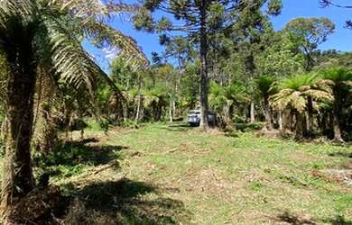 Imagem 13: Urubici - Terreno. 20.000m² de Área