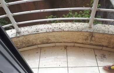 Imagem 7: APTO SEM CONDOMÍNIO VAGO - A 100 METROS DO ARAMAÇAN - ÓTIMA LOCALIZAÇÃO