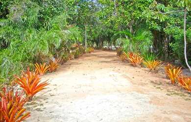 Imagem 7: Área de Praia para Venda em Santa Cruz Cabrália, Santo andré