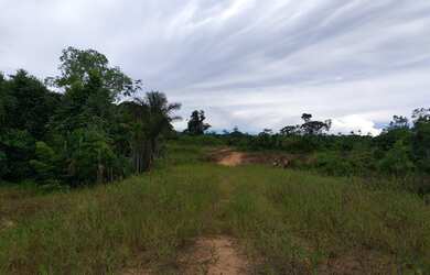 Imagem 1: Fazenda Bela Vista a venda tem 1500 Hectares em Zona Rural - Rio Preto...