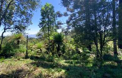 Imagem 12: Urubici - Terreno. 20.000m² de Área