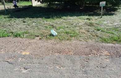 Imagem 5: Terreno Belterra. 