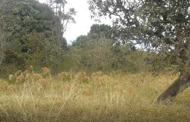 Imagem 3: Terreno Terreno / lote com venda por R$65.000