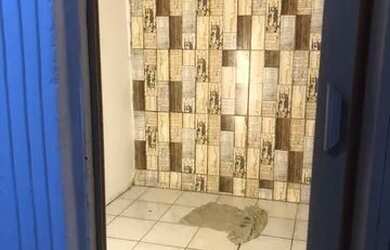 Imagem 4: Casa 500. 40.000m² de Área, 1 Banheiroe2 Dormitórios