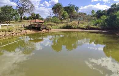Imagem: A fazenda está localizado em Parque Oeste Industrial, Goiânia