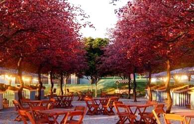 Imagem 6: Ágio condominio jardins parma