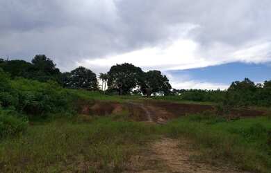 Imagem 2: Fazenda Bela Vista a venda tem 1500 Hectares em Zona Rural - Rio Preto...