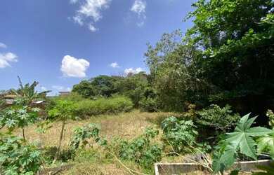 Imagem 4: Área 4500m² - Angelim. 4.500m² de Área