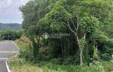 Imagem 12: Loteamento Jardins do Vale - Nova Petrópolis