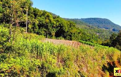 Imagem: A fazenda possui 20.978m² de Área e está localizado em Nova