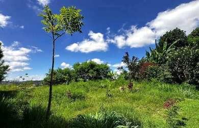 Imagem 5: Terreno à venda, 125 m² por R$ 300.000 - City Bussocaba - Osasco/SP