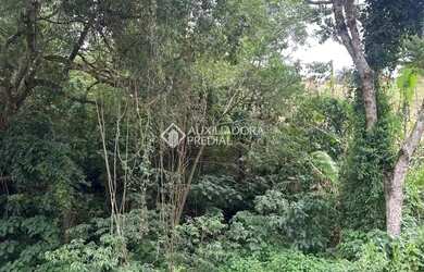 Imagem 8: Loteamento Jardins do Vale - Nova Petrópolis